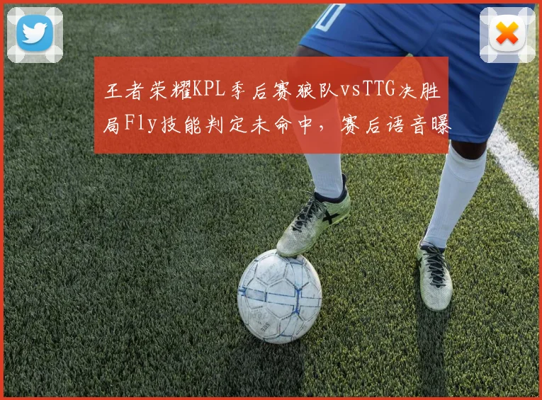 王者荣耀KPL季后赛狼队vsTTG决胜局Fly技能判定未命中，赛后语音曝光裁判改判